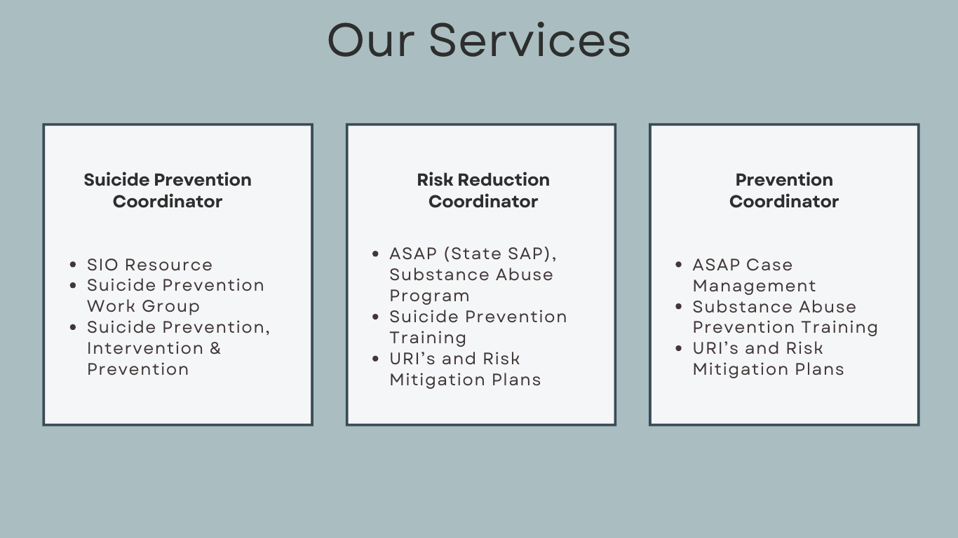 Risk Reduction Program - Military Division